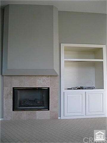 Fireplace and Built in entertainment niche
