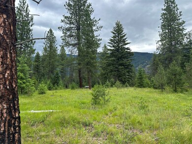 Nhn Sapphire Ln W unit Lot 10, Trout Creek, MT 59874 - photo 4