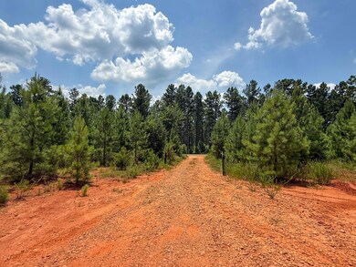 0 Buckhead Rd, Blair, SC 29015 - photo 5