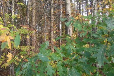 Kovach (5)