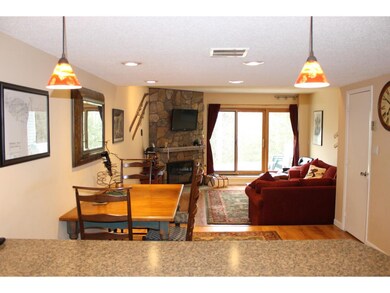 16 Avalanche Way unit 14, Waterville Valley, NH 03215 - photo 6