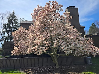 1 Northwick Ct, Ann Arbor, MI 48105 - photo 5