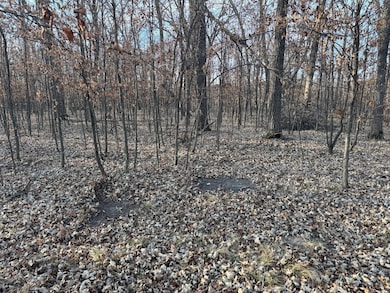 TBD 294th, Meadow Township, MN 56477 - photo 4