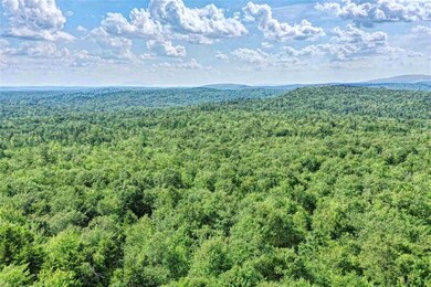 0 Potato Hill Rd unit 4803479, Newport, NH 03773 - photo 3