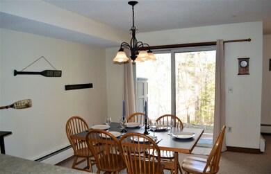 5 Northbrook Village Rd unit E-15, Dover, VT 05356 - photo 4