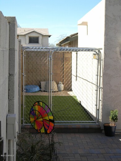dog run