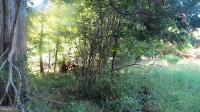 758 Swimley Rd, Berryville, VA 22611 - photo 3