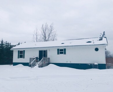 7903 Randolph St, Vanderbilt, MI 49795 - photo 3