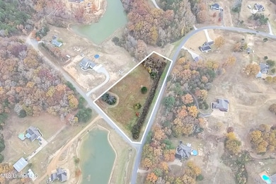 14367 Valley View, Byhalia, MS 38611 - photo 3