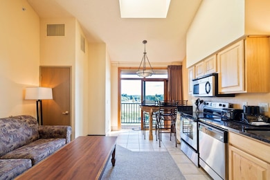 2504 River Rd unit 7426, Wisconsin Dells, WI 53965 - photo 7