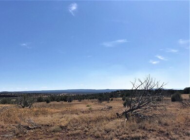 48275 N Steve Ln, Ash Fork, AZ 86320 - photo 4