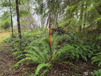0 Lot 1&2 W Elk Hill Rd, Elma, WA 98541 - photo 5