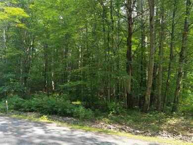 34a Forest Pond Rd, New Hampton, NH 03256 - photo 3
