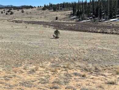 3233 Remington Rd, Como, CO 80456 - photo 3