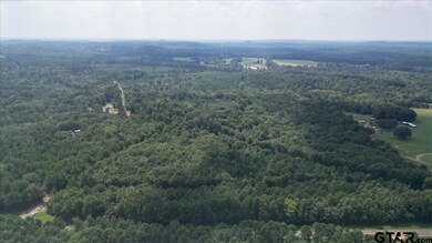 TBD Cactus Rd, Pittsburg, TX 75686 - photo 7