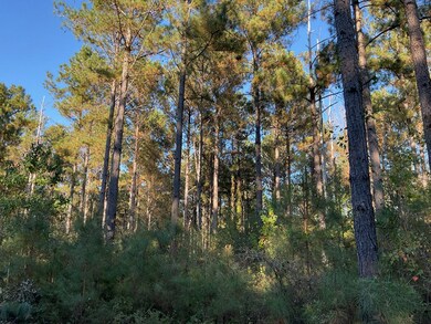 3114 Chapel Hill Rd, Rutledge, AL 36071 - photo 5