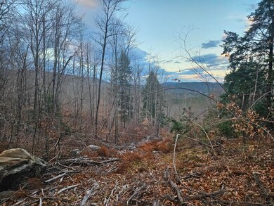 distant view 2
