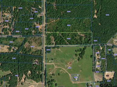 TBD Fm 2012 N, Overton, TX 75684 - photo 6