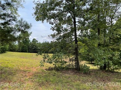 Olive Road acreage road view