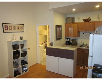 390 Norfolk St unit 1, Cambridge, MA 02139 - photo 4