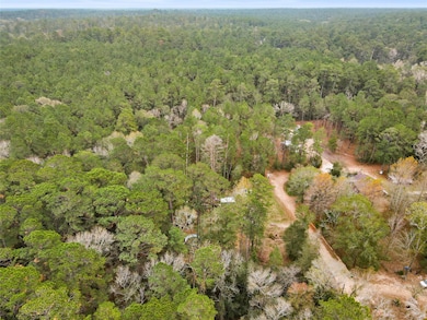 99 Fawn Dr, New Waverly, TX 77358 - photo 5