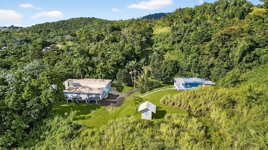 Carr. 186 INT 9948 K Sector Marines Cubuy, Canovanas, PR 00729 - photo 2