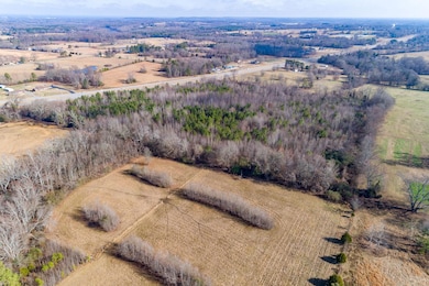 10.23 Acres Alabama 157, Town Creek, AL 35672 - photo 6