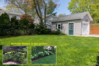 5. Backyard