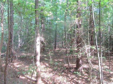 73-7-7 Fox Branch Rd, Dinwiddie, VA 23830 - photo 3