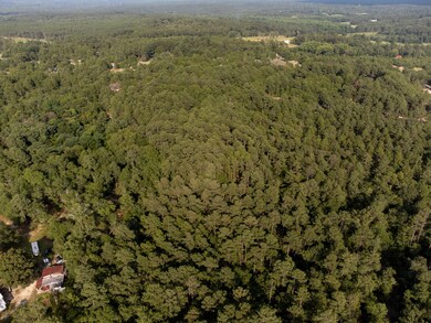 DJI_0392