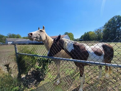 2055 Ohio 28, Goshen, OH 45122 - photo 5