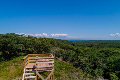 38 Fire Tower Rd, West Tisbury, MA 02568 - photo 4