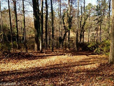 839 Nc Highway 62 W, Greensboro, NC 27406 - photo 4