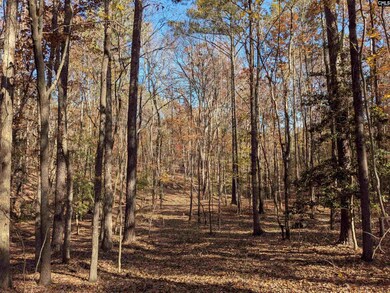 0 Baron Dekalb Rd, Camden, SC 29020 - photo 5