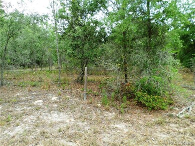 00 SW 80 Place Rd, Dunnellon, FL 34431 - photo 3