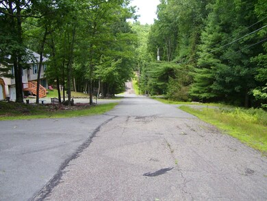 115 Heavenly Valley Dr, Tafton, PA 18464 - photo 3