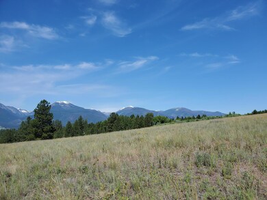Nhn Porter Hill Rd, Stevensville, MT 59870 - photo 6
