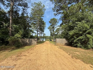 401 Montgomery Rd SW, Summit, MS 39666 - photo 2