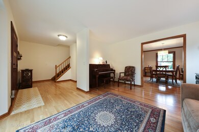 312 N River Glen Ave, Elmhurst, IL 60126 - photo 2