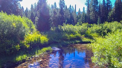 TBD5 Clear Creek Rd, Cascade, ID 83611 - photo 5