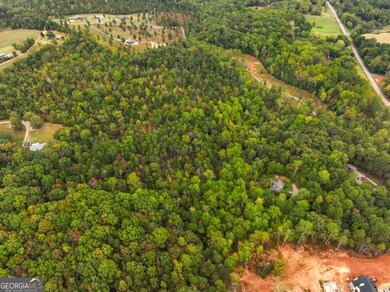 6418 Dawsonville Hwy, Dahlonega, GA 30533 - photo 6