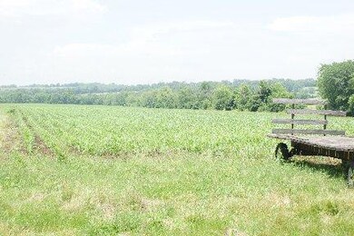 1911 Keene-Troy Rd, Nicholasville, KY 40356 - photo 4