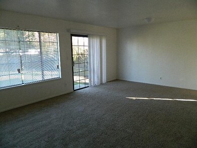 Spacious living room with lots of windows and slid