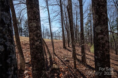 2212 Nighthawk Ridge Ct unit 29, Lenoir, NC 28645 - photo 5