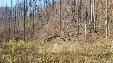 000 Fox Creek Rd, Burnsville, NC 28714 - photo 6