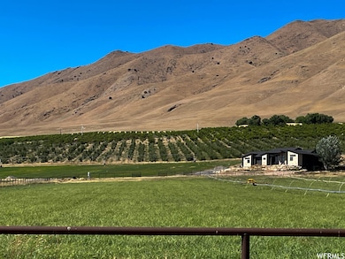 2151 N York Ln unit 11, Genola, UT 84655 - photo 6