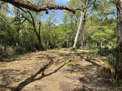 0 Cr 400 Tract 3, Brazoria, TX 77422 - photo 7