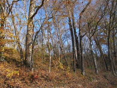 0 Lewis Branch Rd unit RTC1498710, Tennessee Ridge, TN 37178 - photo 2