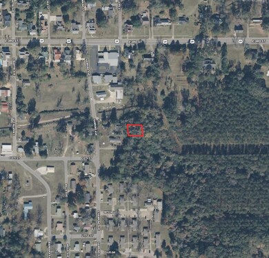 0 Hicks St, Luverne, AL 36049 - photo 7