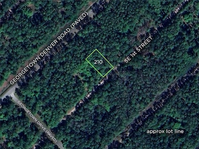 210 1st St, Georgetown Cove, FL 32139 - photo 2